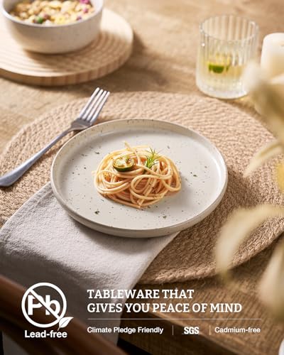 Meteor 24 Piece Stoneware Dinnerware Set