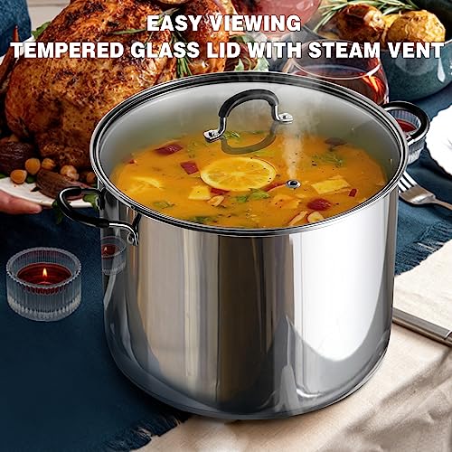 Professional 20 Quart Stainless Steel Stock Pot with Lid