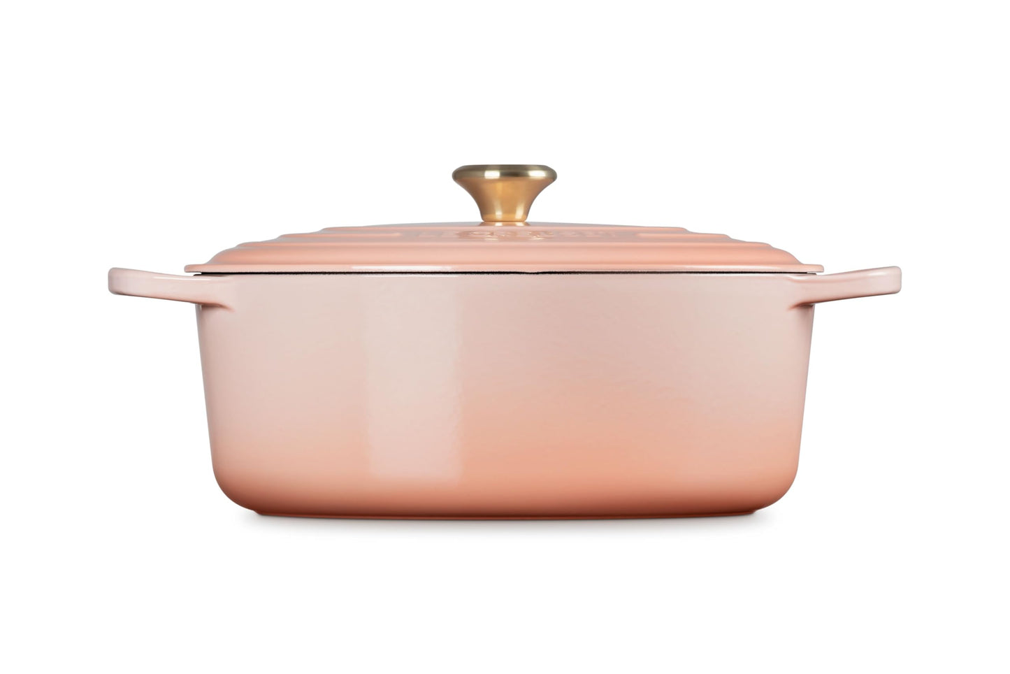 Enameled Cast Iron Oval Dutch Oven
