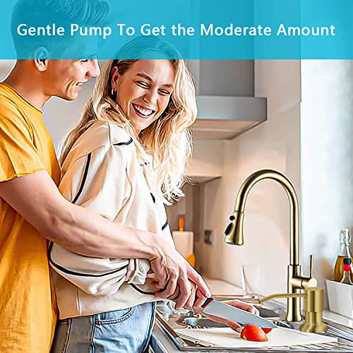 Soap Dispenser for Kitchen Sink