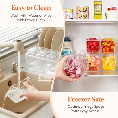 Chilled Condiment Caddy with 4 Compartment & Individual Lids