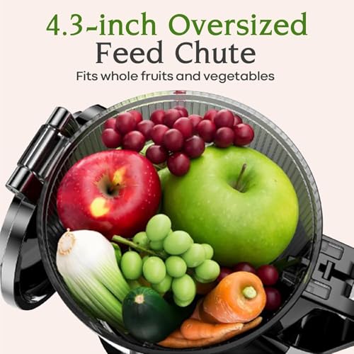 Cold Press Juicer 200W Slow Juicer 4.3" Feed Chute & Juice Recipes