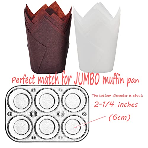 Large size White+Brown Tulip Baking Cups 2 (130 Count)