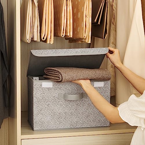 Storage Baskets with Lids (2 Count)