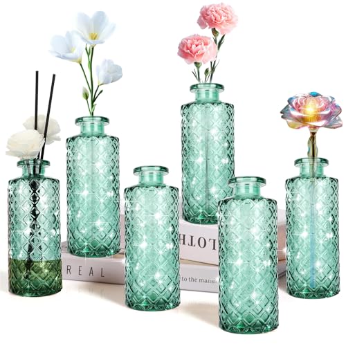 Glass Bud Vase (6 Count)