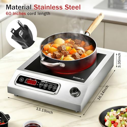 Portable Electric Stove