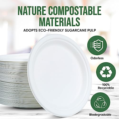 Heavy Duty Disposable Paper Plate 9 inch (100 Count)