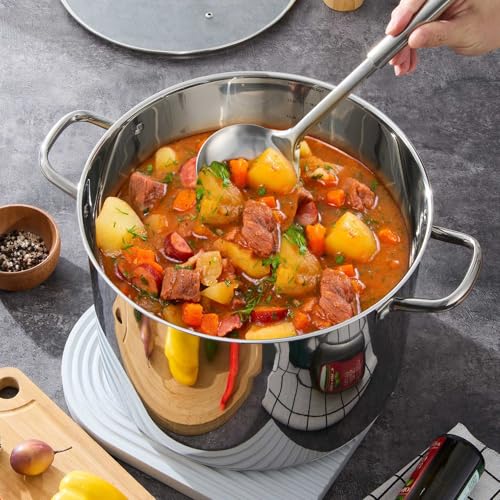 20 QT Stainless Steel Large Stock Pot