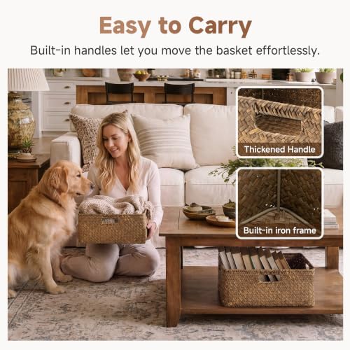 Large Wicker Baskets for Storage