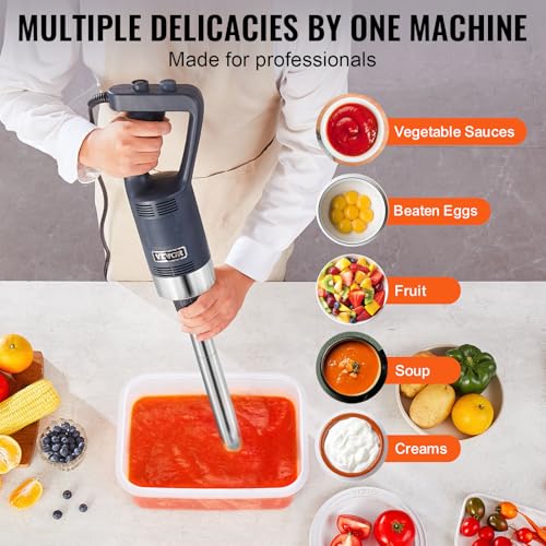 Commercial Immersion Blender