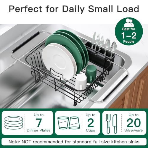 Black Dish Drying Rack in Sink with Utensil Holder