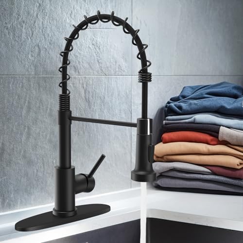 Black Kitchen Faucet with Pull Down Sprayer (17 inch(es))