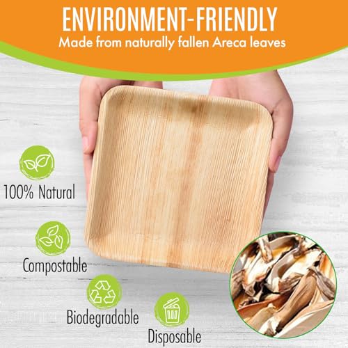 Raj Bamboo Disposable Heavy Duty 6" Square Plates 300 Pack (300 Count)