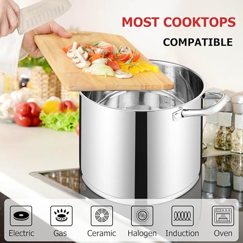 10 Quart Pot with Lid