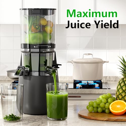 Cold Press Juicer