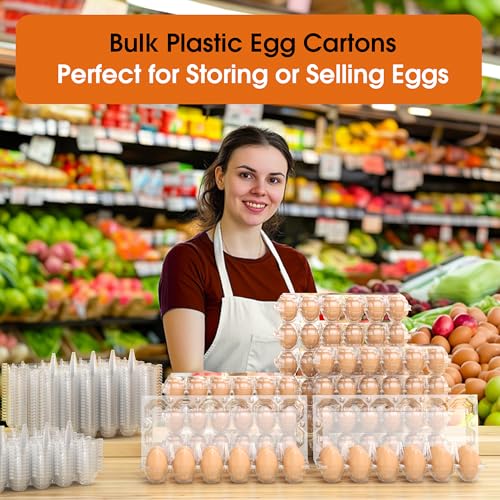80 Pack Egg Cartons Cheap Bulk (80 Count)