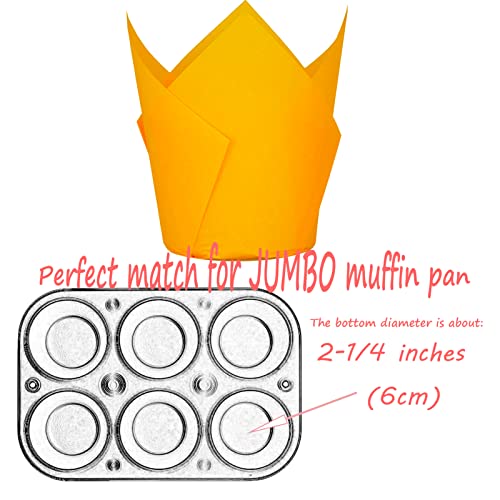Orange color Large size Tulip Baking Cups 2 (130 Count)