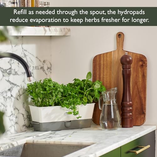 Burwell Self Watering Potted Herb Keeper