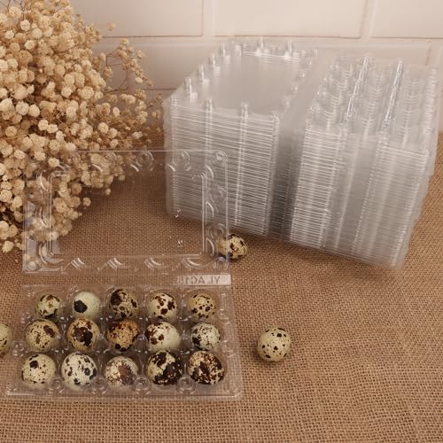 200 Pack Quail Egg Cartons (200 Count)
