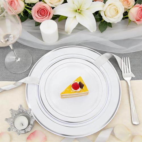 60PCS Silver Plastic Plates (60 Count)