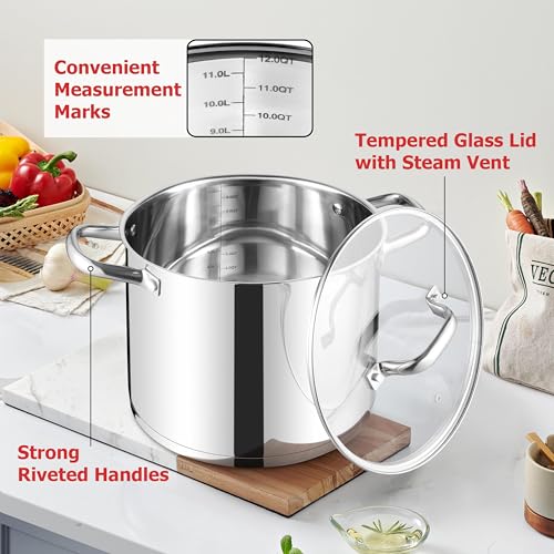 12 QT Stock Pot with Lid