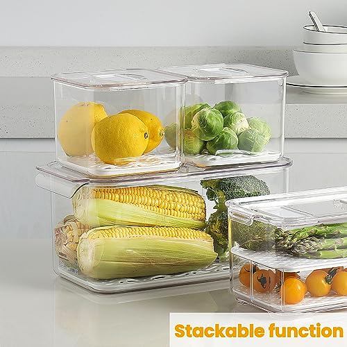 Fresh Produce Saver for Refrigerator (3 Count)