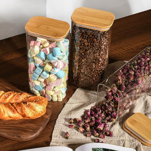 64oz 2Qt Rectangle Glass Storage Containers with Lids 3 (3 Count)