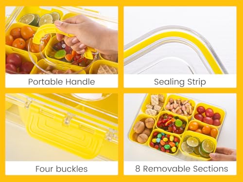 Divided Serving Tray with Lid and Handle