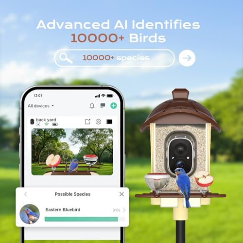 Bird Feeder with Camera