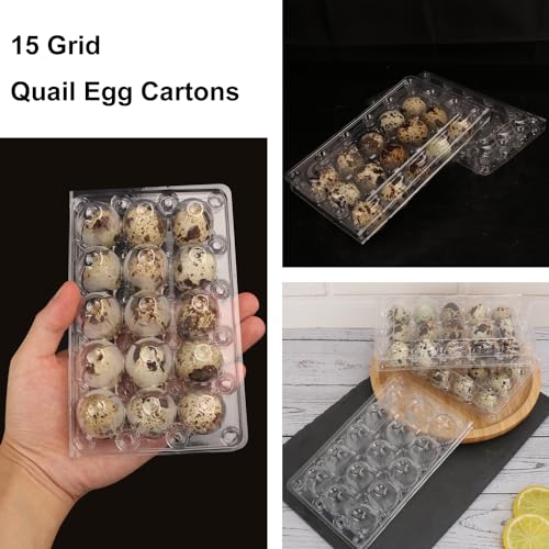 200 Pack Quail Egg Cartons (200 Count)