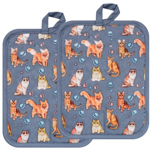 Pot Holders Set of 2 (32 Ounce)