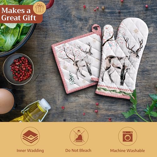 100% Cotton Oven Mitt & Pot Holder Set (2 Count)