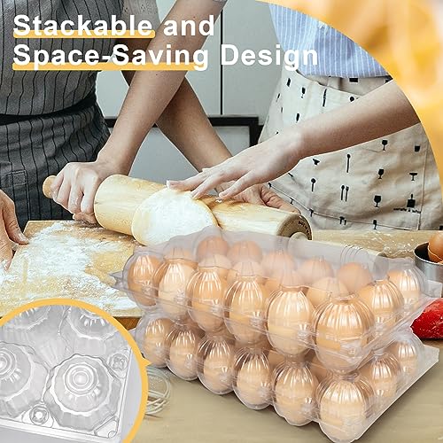40 Pack Egg Cartons (40 Count)