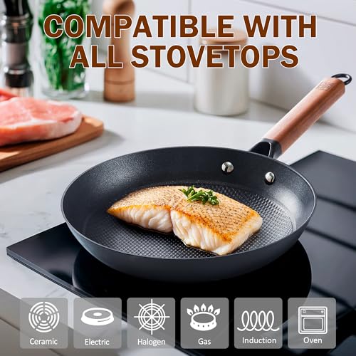 Cast Iron 8 10 Inch Nonstick Skillets (2 Count)
