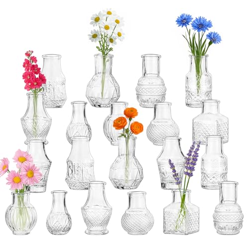 Glass Bud Vase Set of 20 Pcs (20 Count)