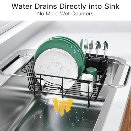 Black Dish Drying Rack in Sink with Utensil Holder