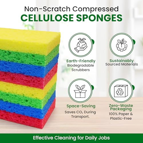 Cellulose Sponges (24 Count)