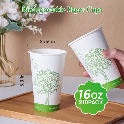 210 Count 16 oz Compostable Paper Cup
