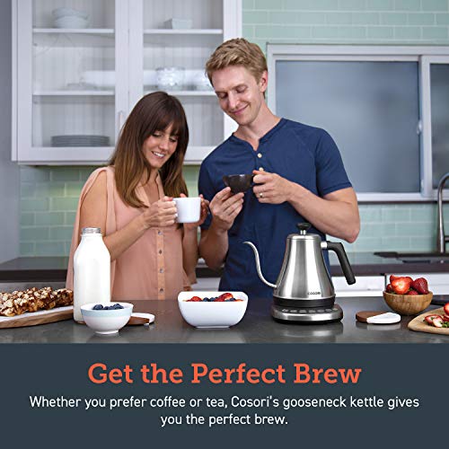 Gooseneck Electric Kettle with Temperature Control