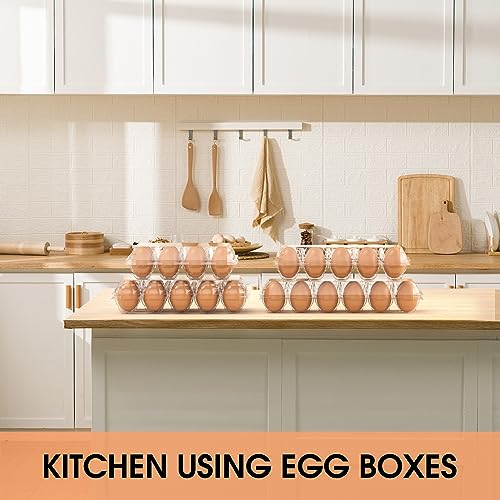 100 Pack Egg Cartons Cheap Bulk 12 Count Plastic Egg Containers 3x4 Grids (100 Count)