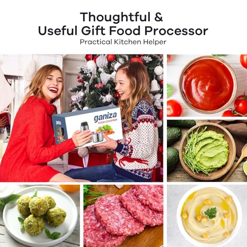 Food Processors with 2 Bowls
