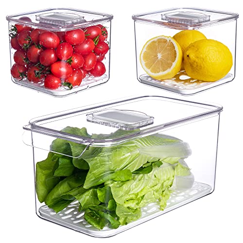Fresh Produce Saver for Refrigerator (3 Count)
