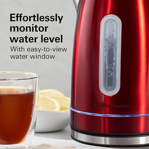 Electric Tea Kettle