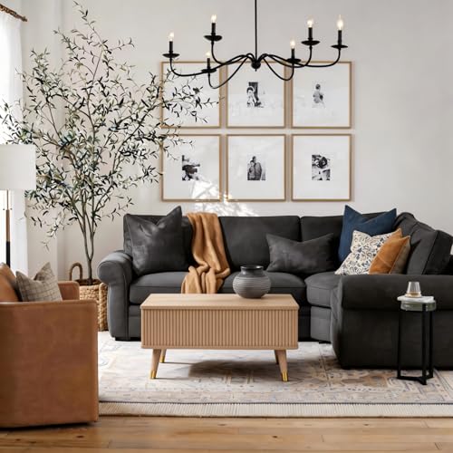Lift Top Coffee Table with Storage for Living Room