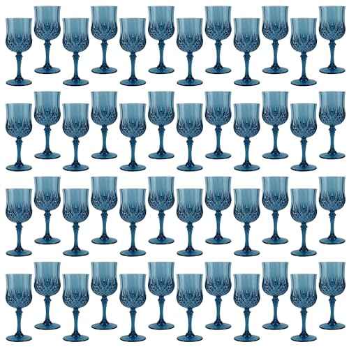 48Pack Plastic Wine Glasses (48 Count)