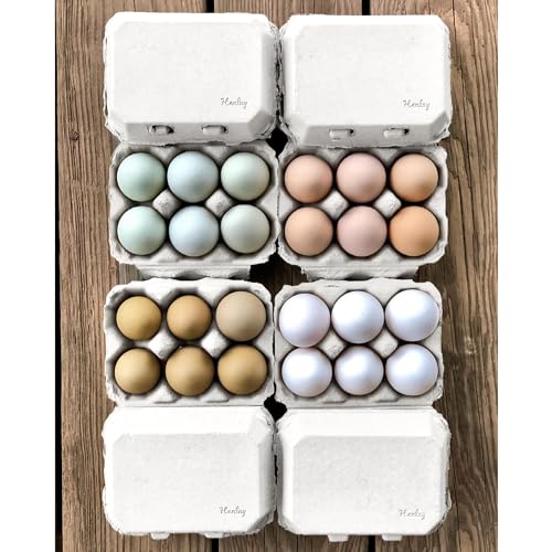 White Half Dozen Blank Egg Cartons (20 Count)