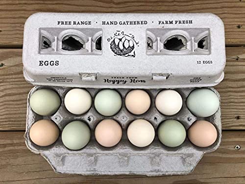 Egg Cartons Adorable Printed Design for Farm Fresh Eggs (250 Count)