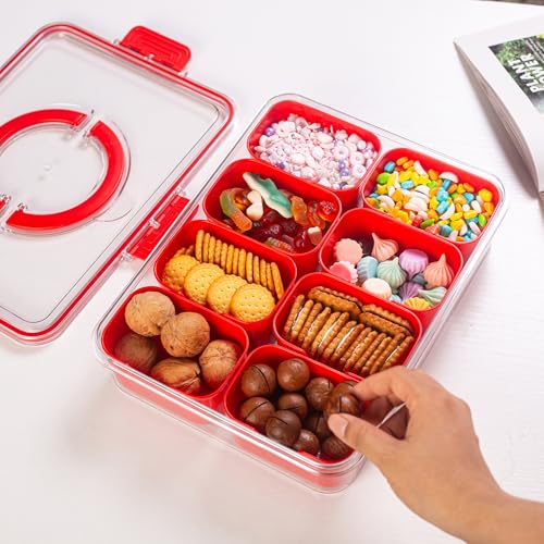 Divided Serving Tray with Lid and Handle