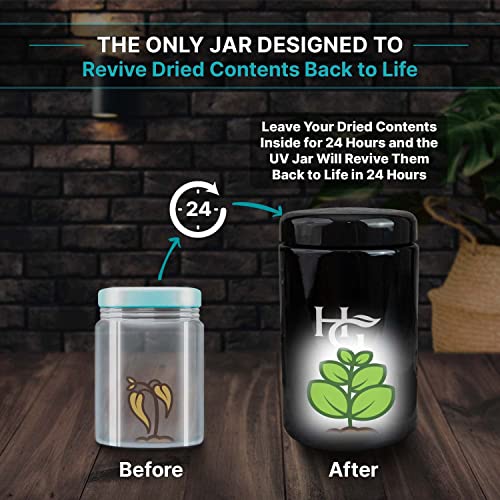 2 Oz Airtight Ultraviolet Jar
