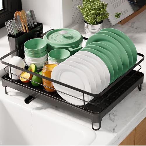 Dish Drying Rack for Kitchen Counter